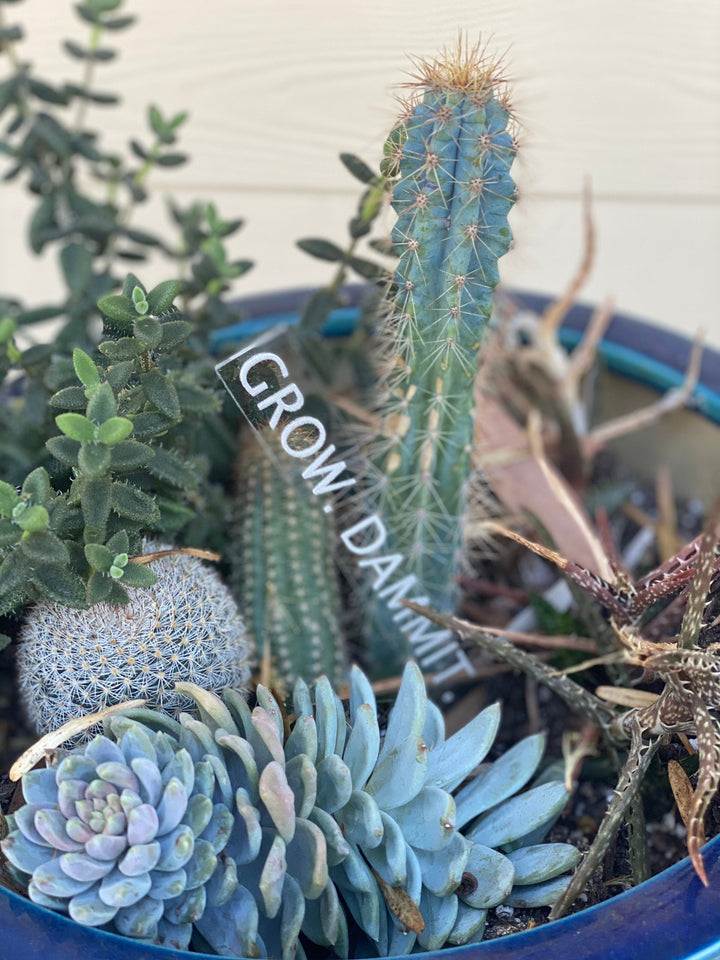 Black Thumb funny garden stakes and plant markers by BubbleHead Ink